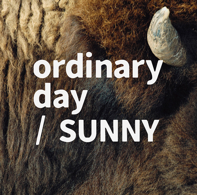 ordinary day / SUNNY