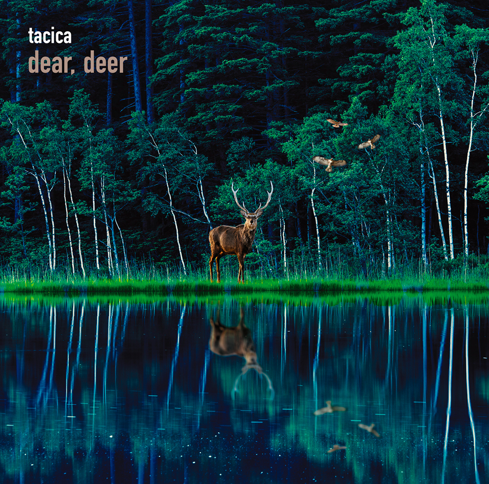 dear, deer